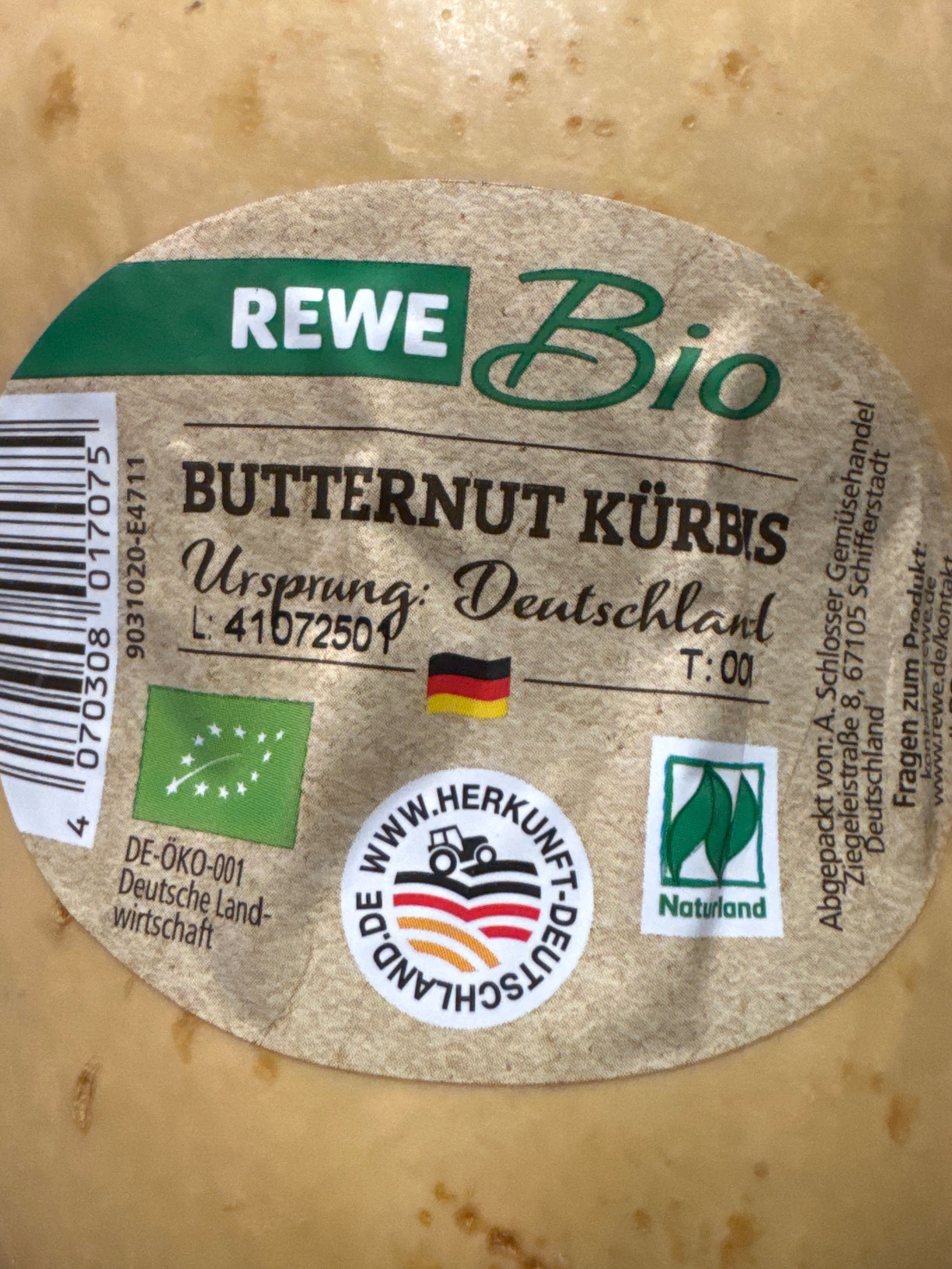 Butternut Kürbis