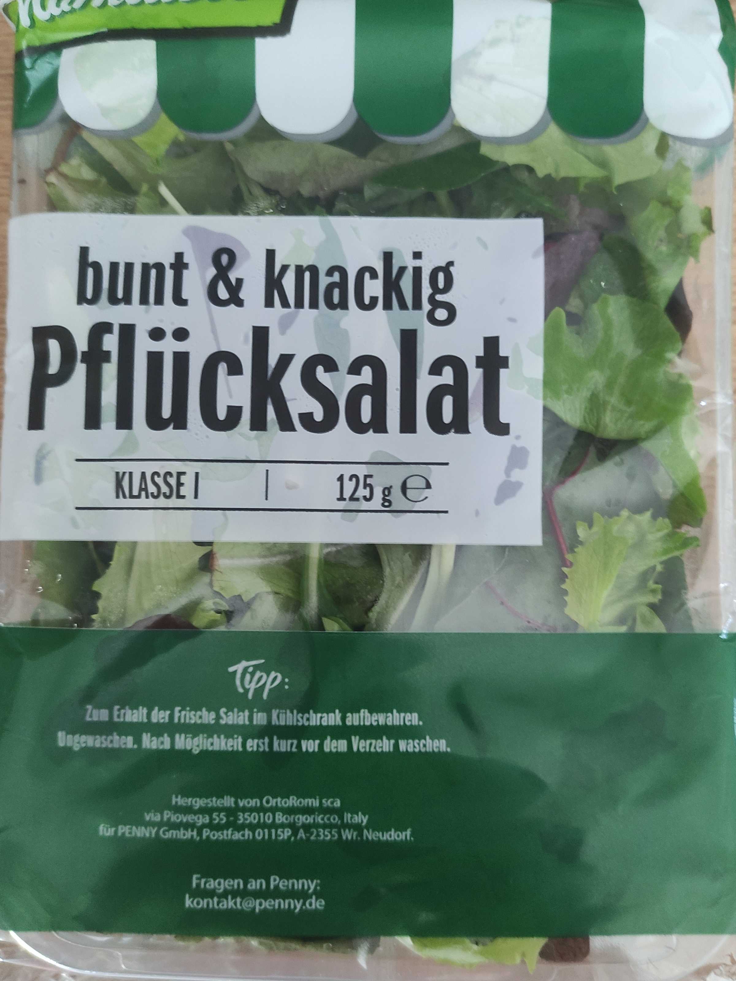 Pflücksalat bunt & knackig