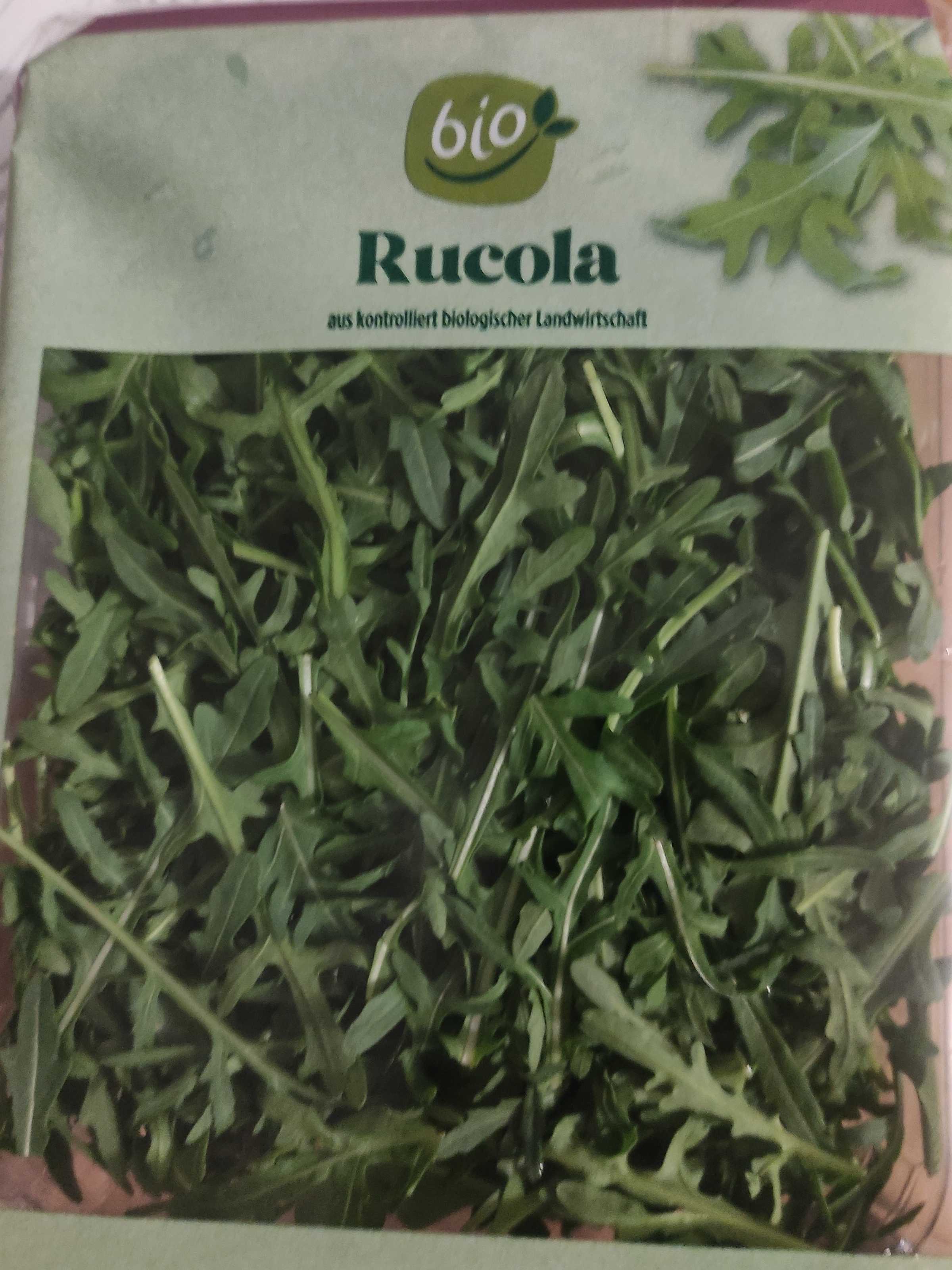 Salat - Rucola