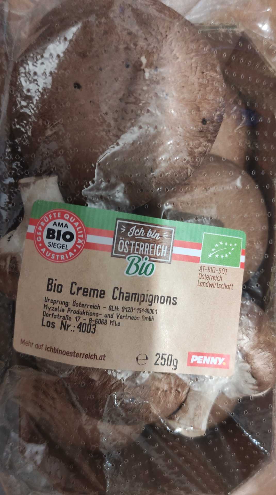 Champignons - Creme - bio