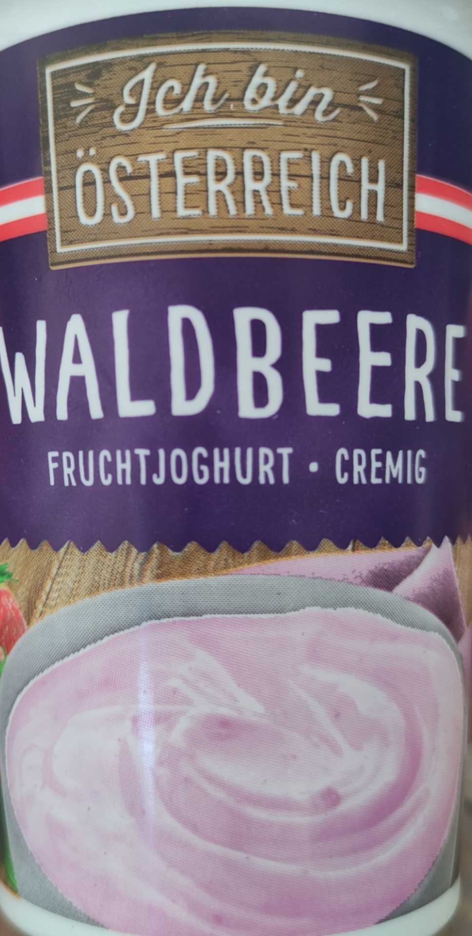 Joghurt - Waldbeere