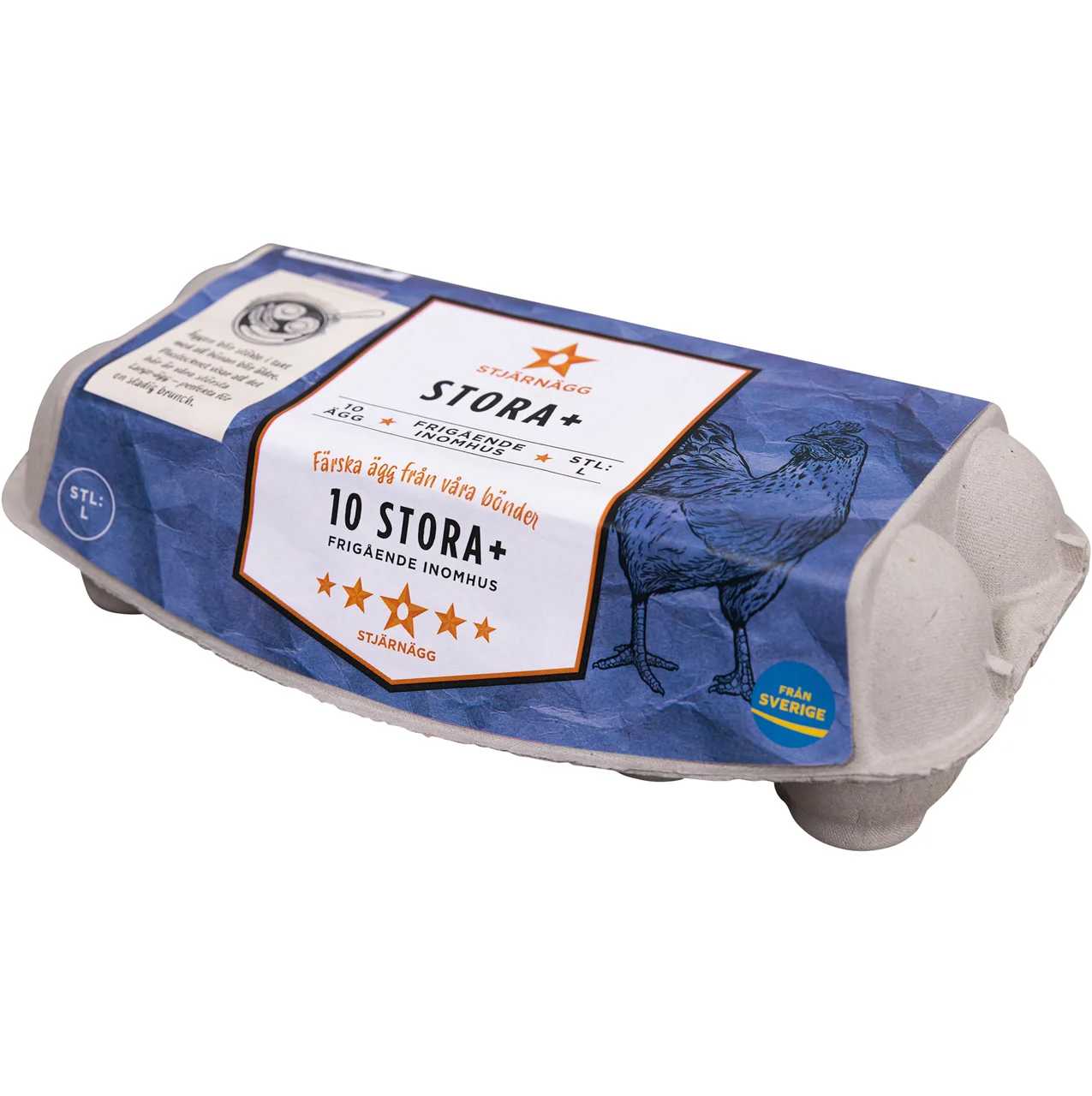 Ägg Stora+ 10-pack