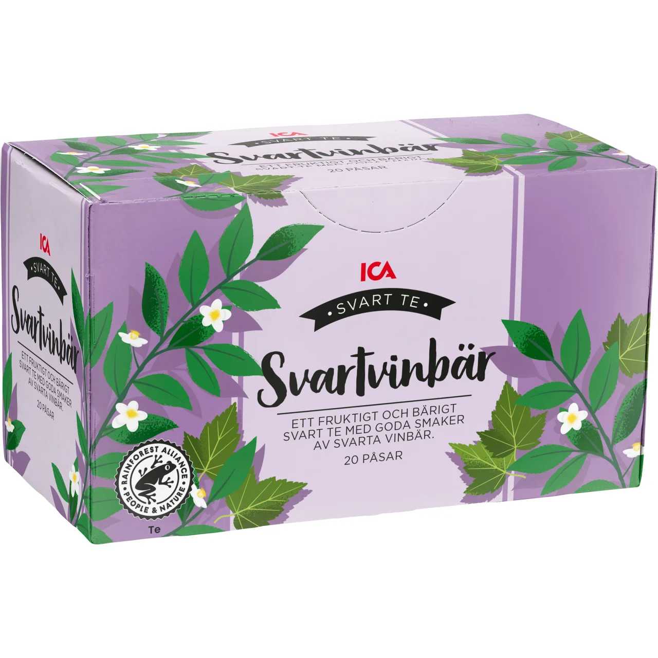 Svartvinbär Te