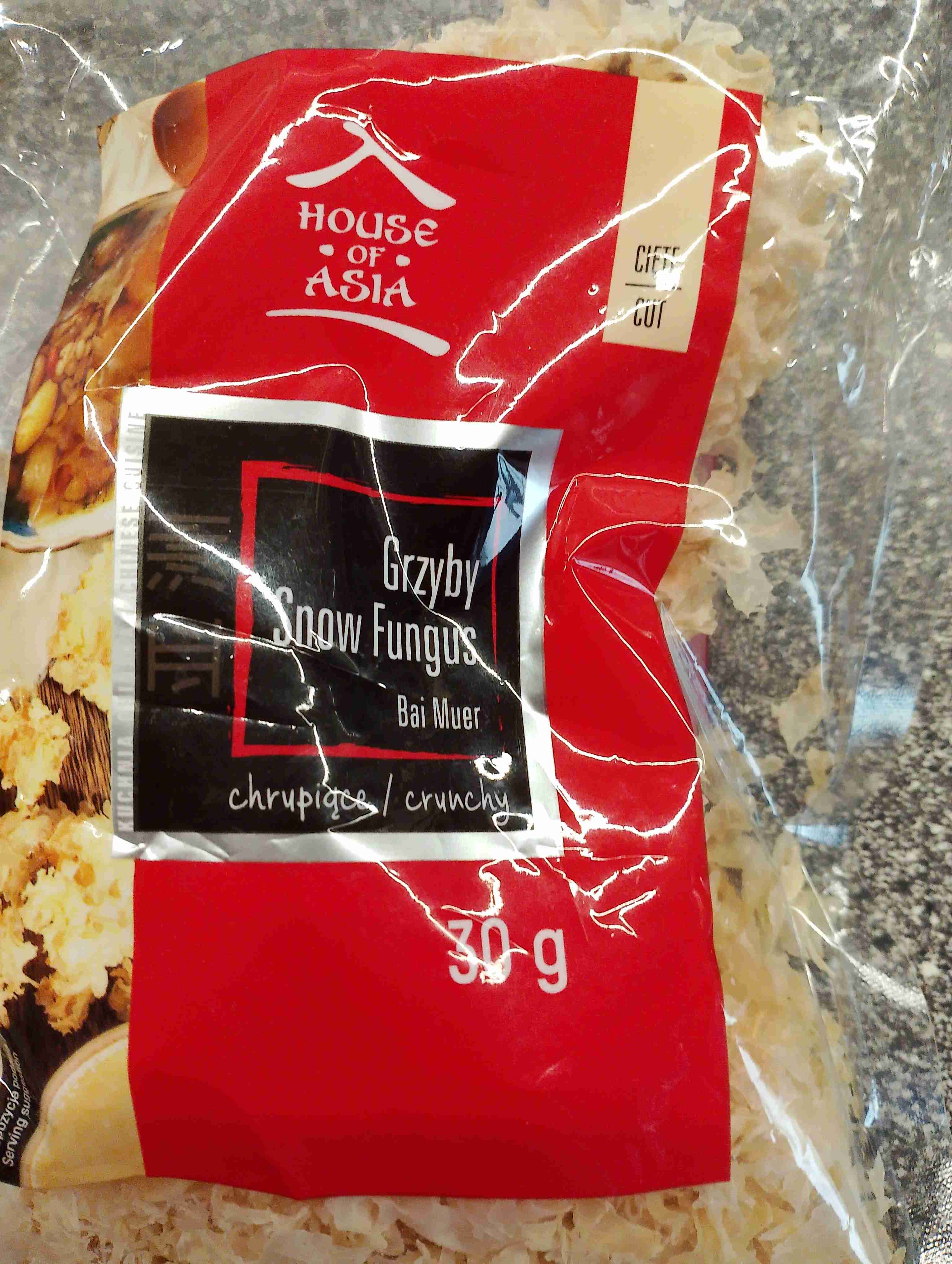 Grzyby Snow Fungus