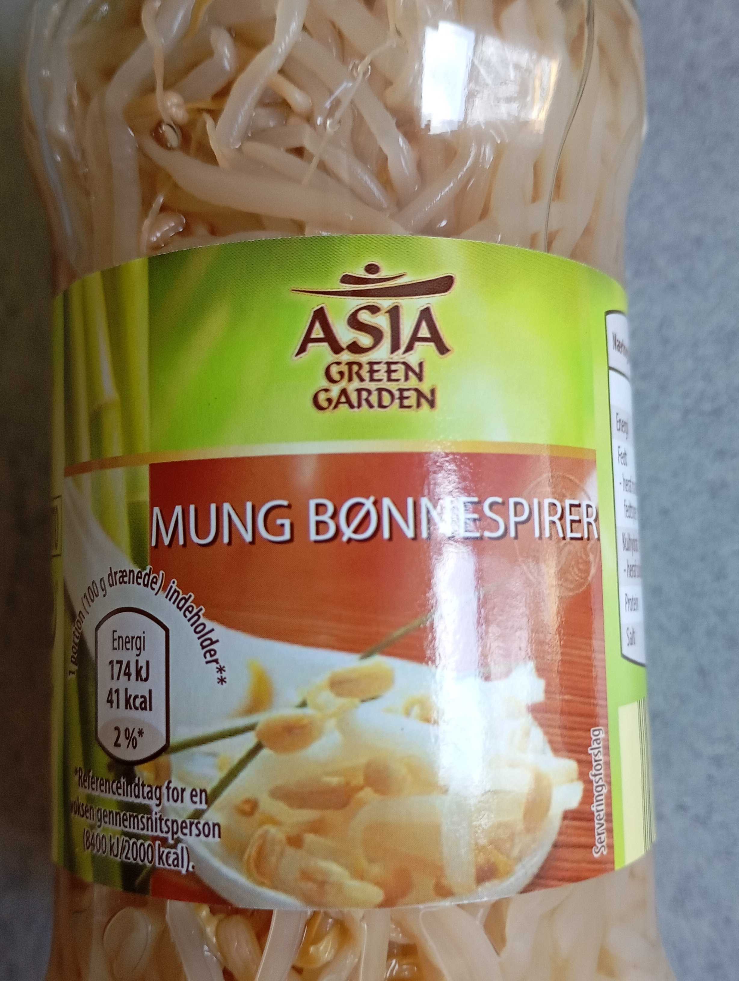 Mung Bønnespirer