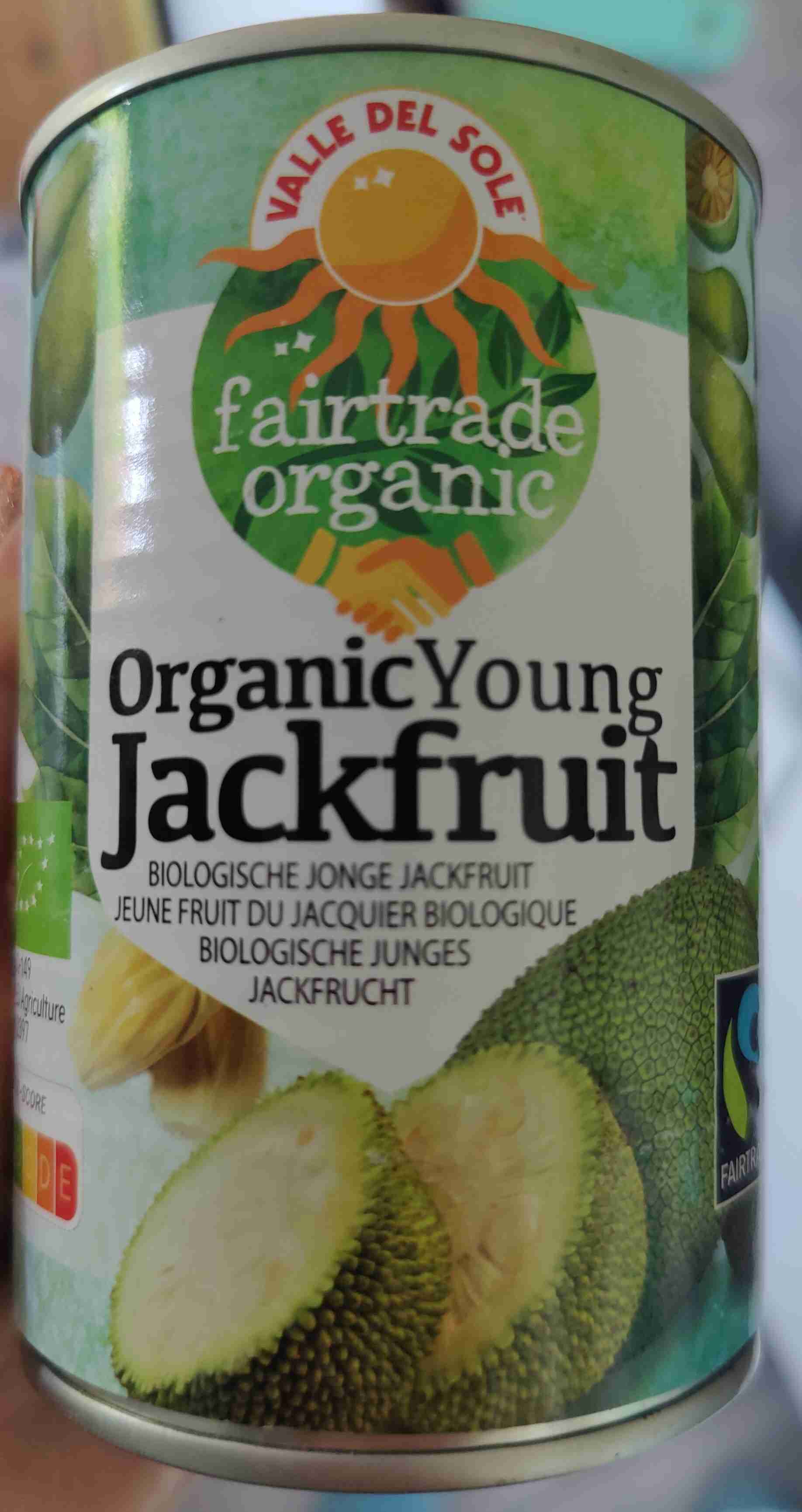 Young jackfruit