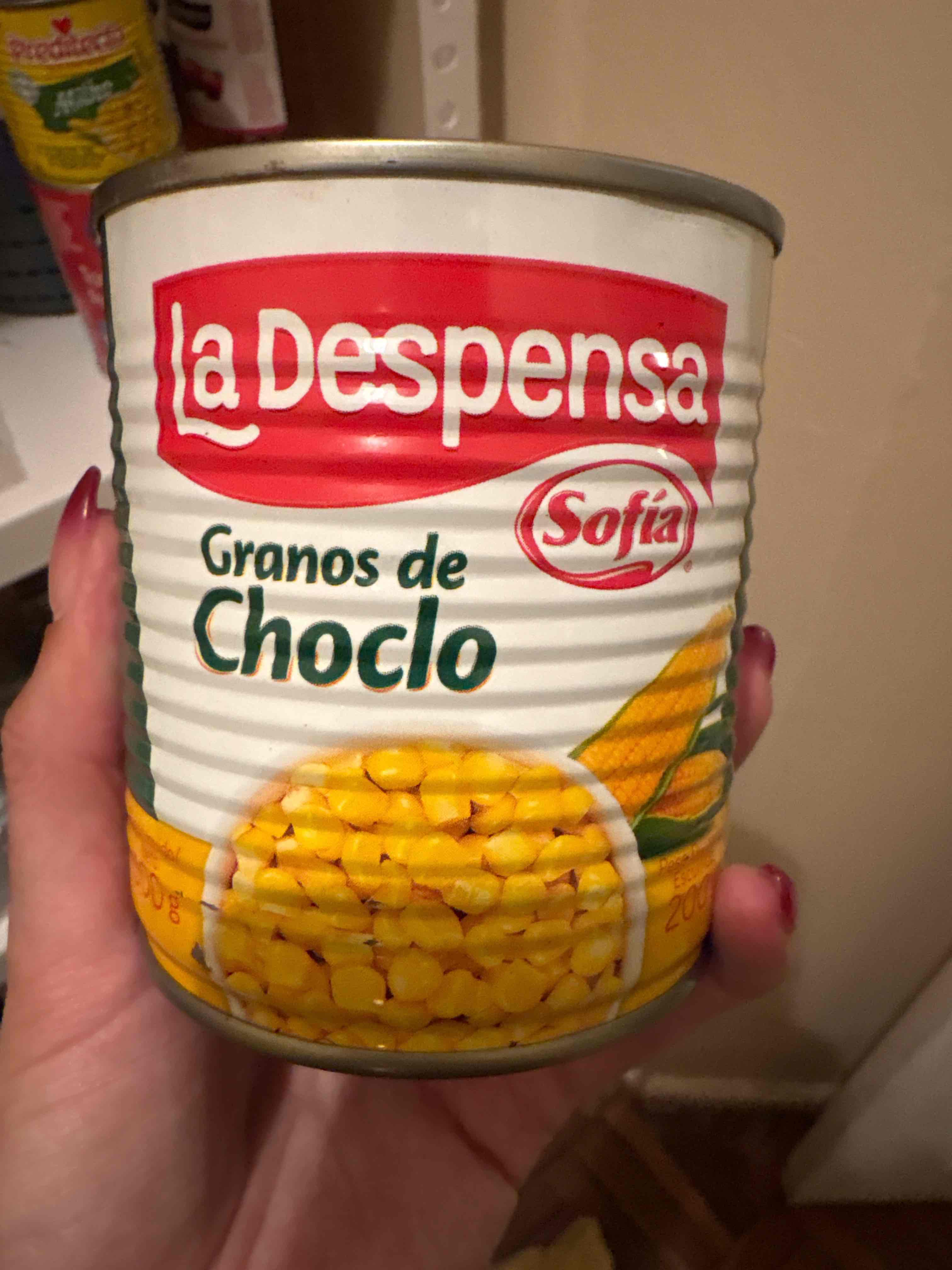 Granos de choclo
