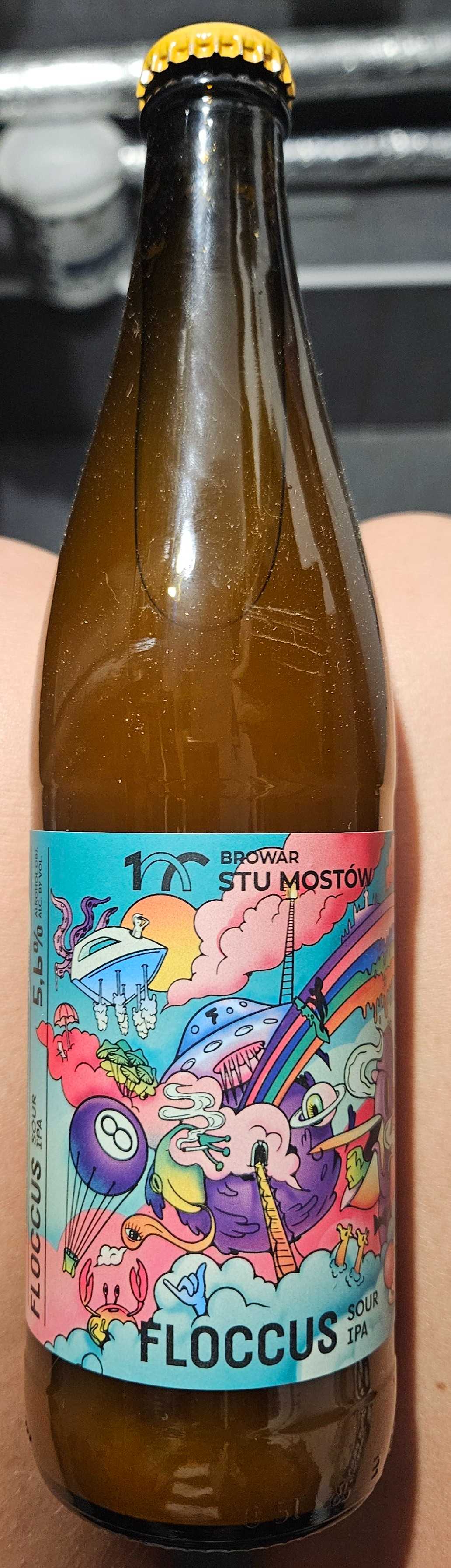 FLOCCUS SOUR IPA