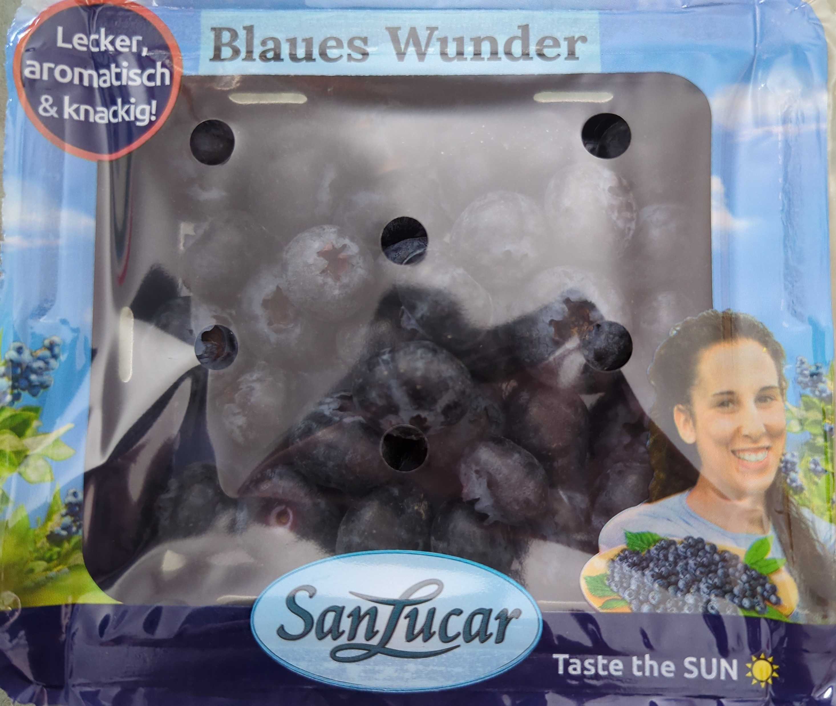Kulturheidelbeeren "Blaues Wunder"