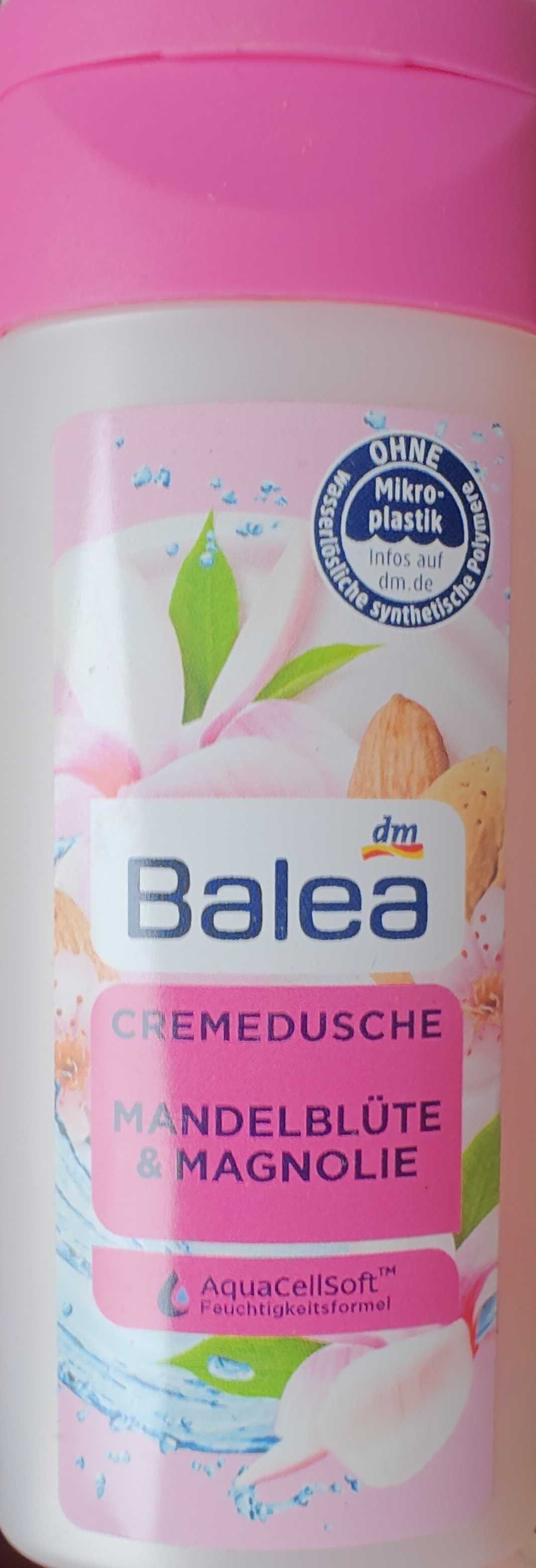Mandelblüte & Magnolie