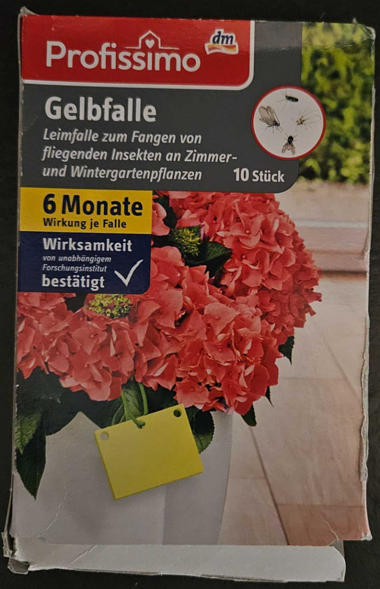 Gelbfalle - Dm Profissimo