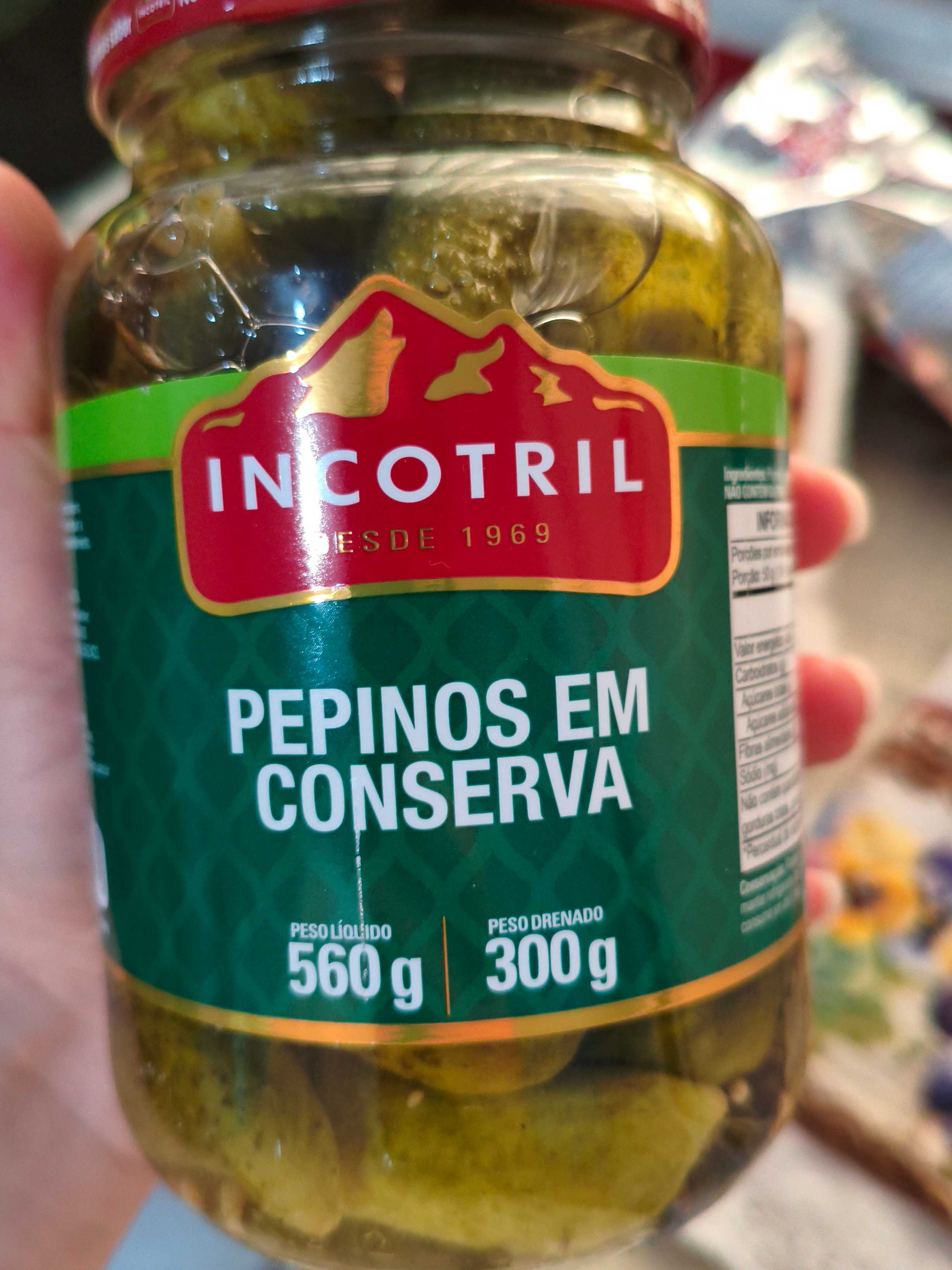 Pepino em conserva 