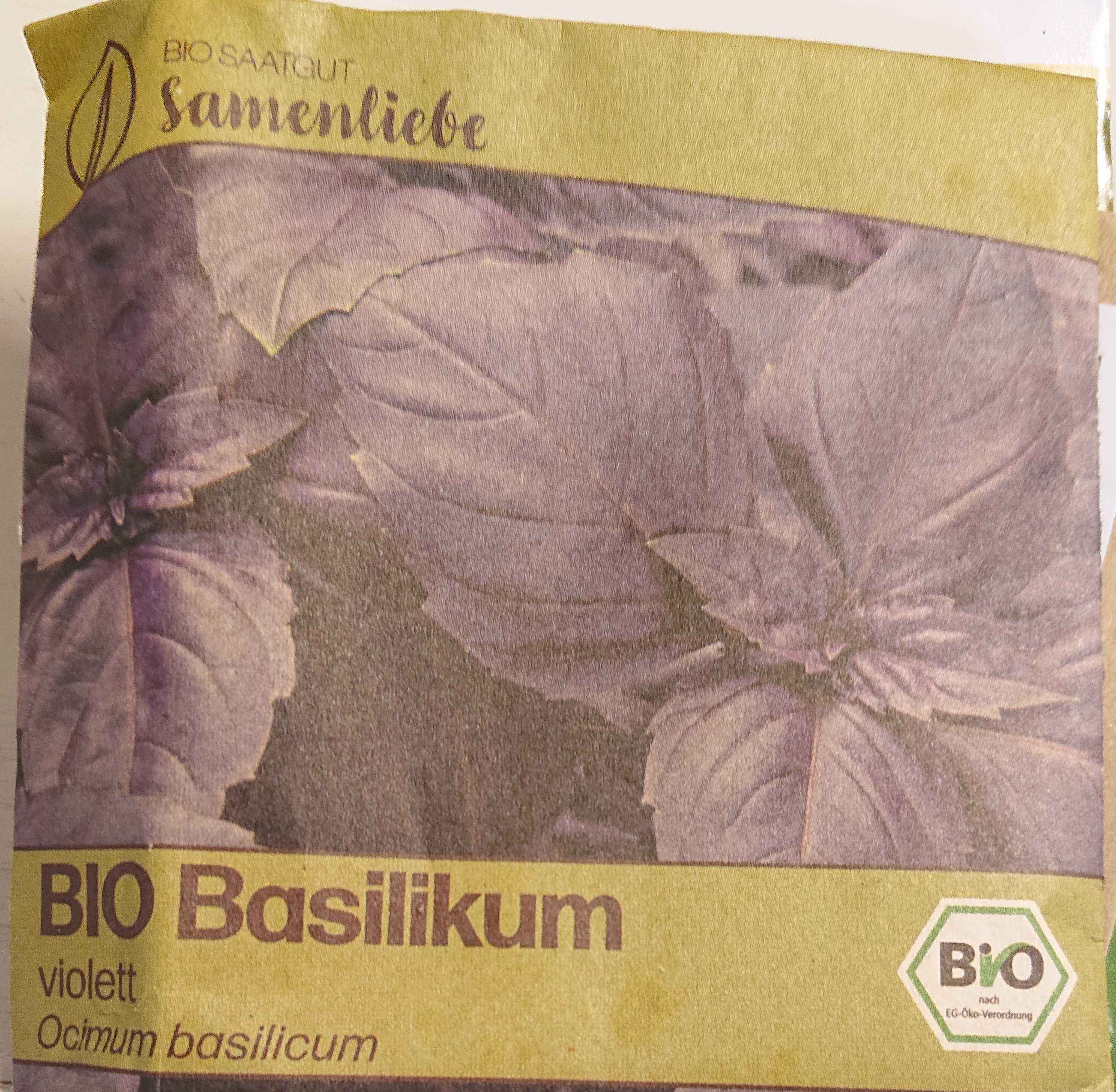 Bio Basilikum Samen