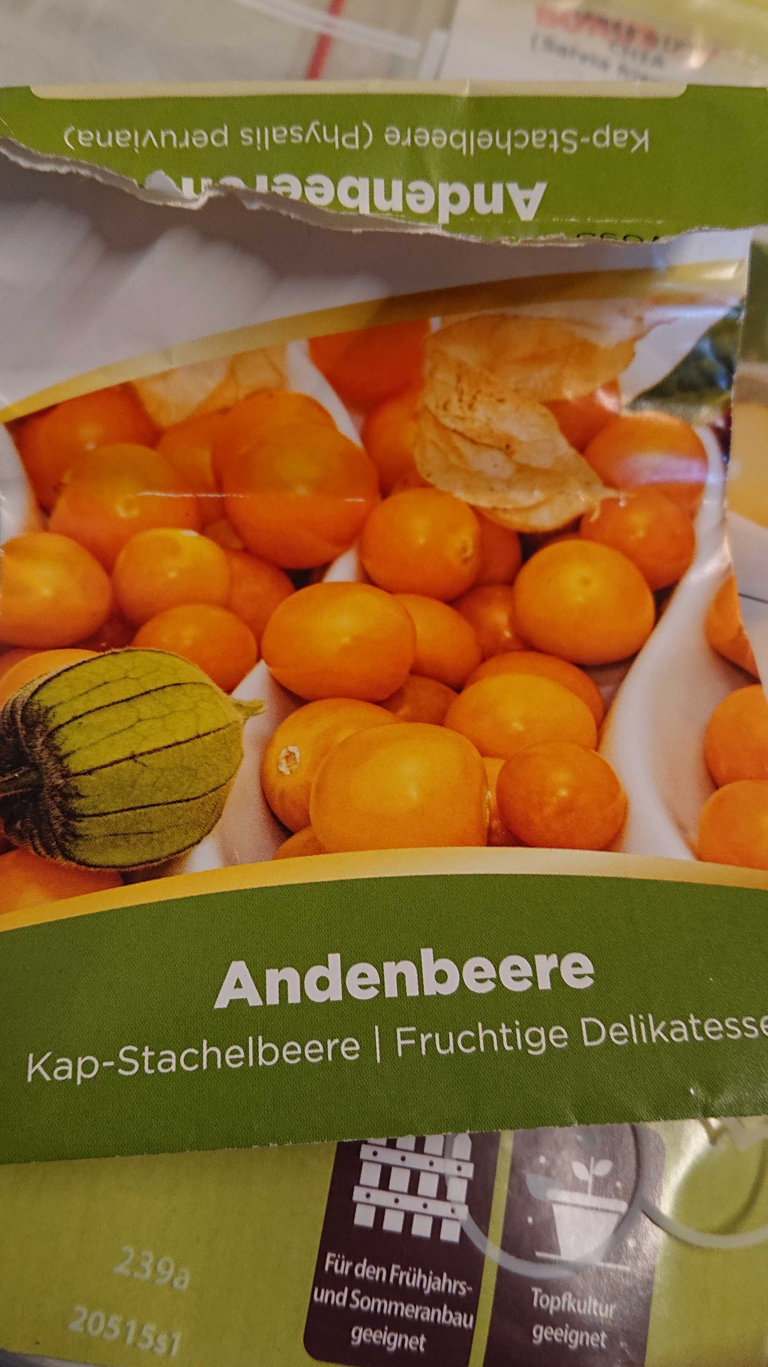 Andenbeere Samen