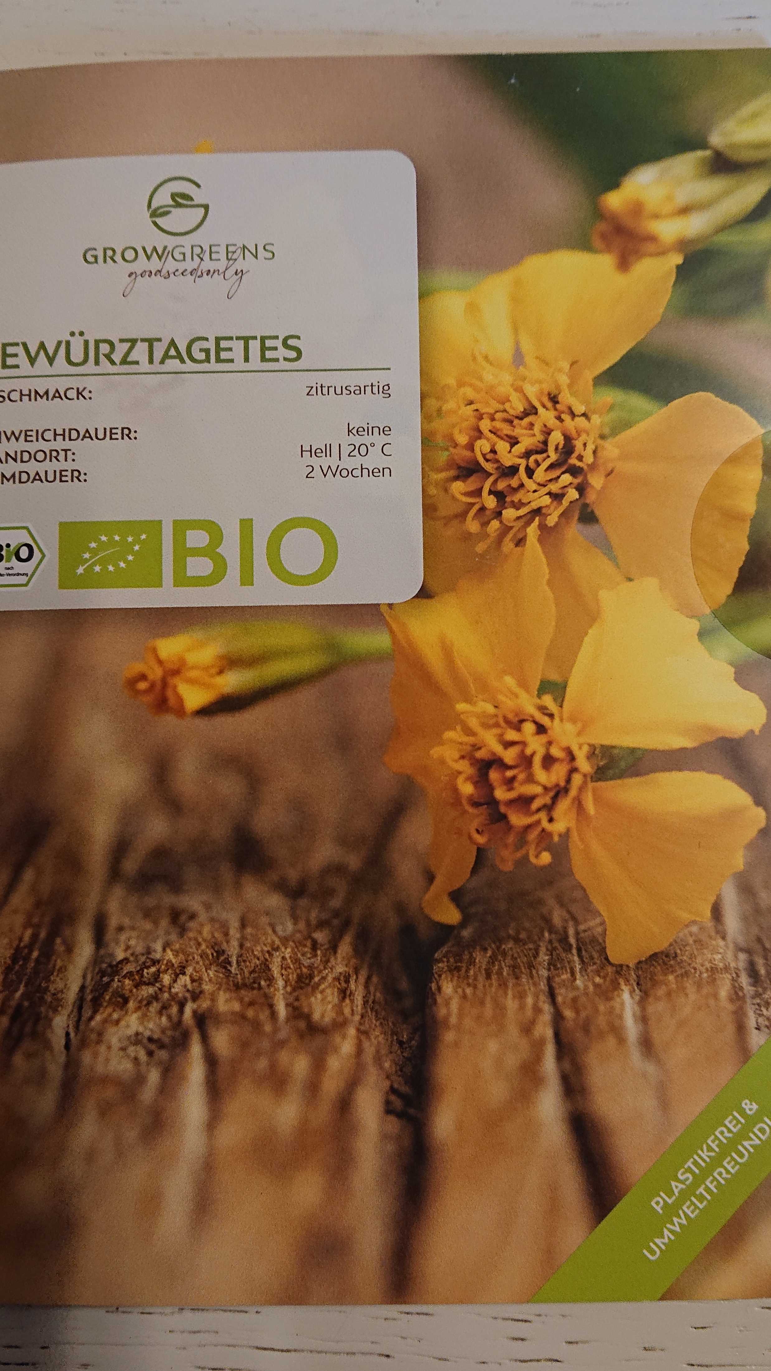 Gewürztagetes Samen