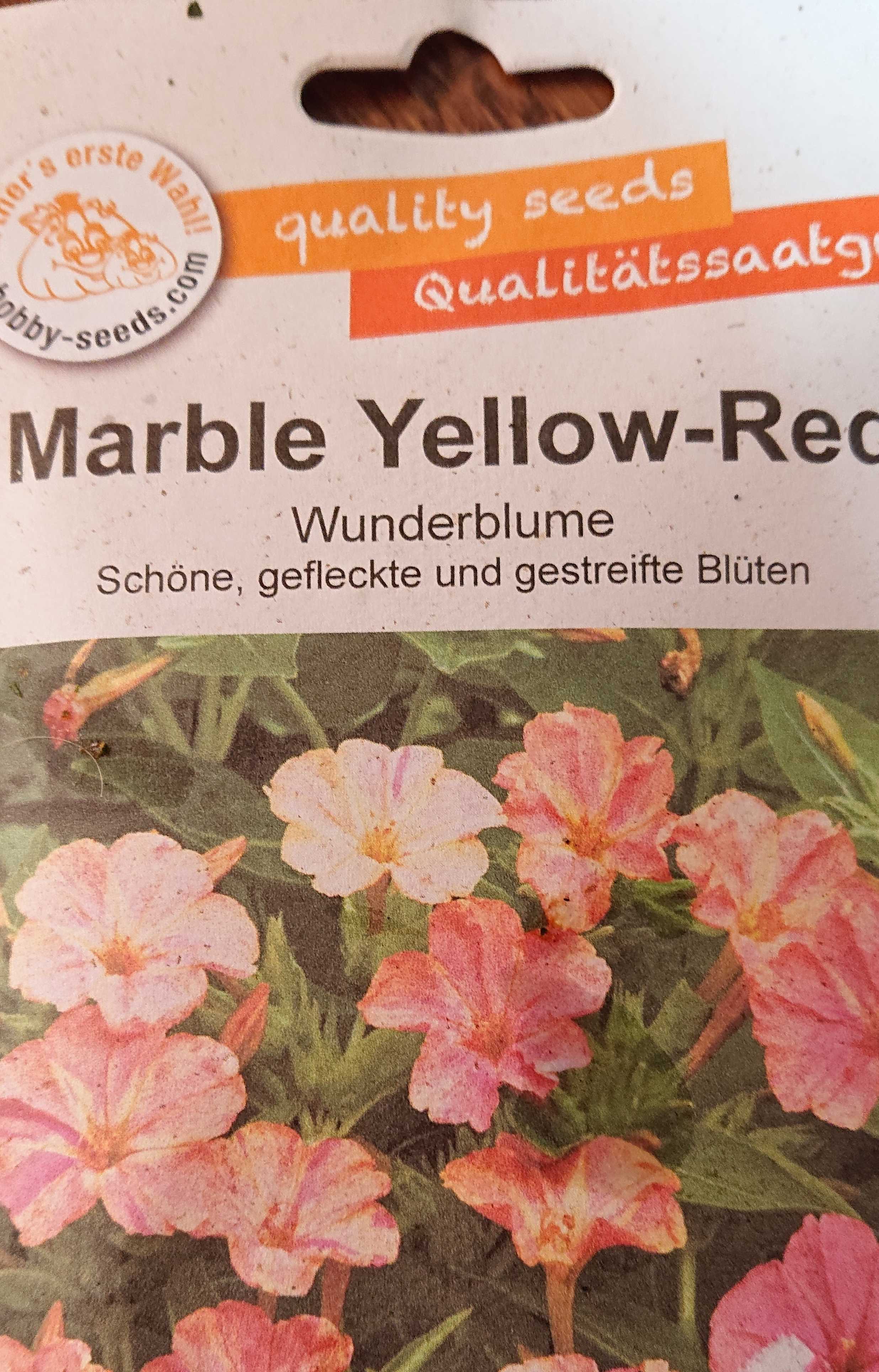 Wunderblume yellow-red Samen