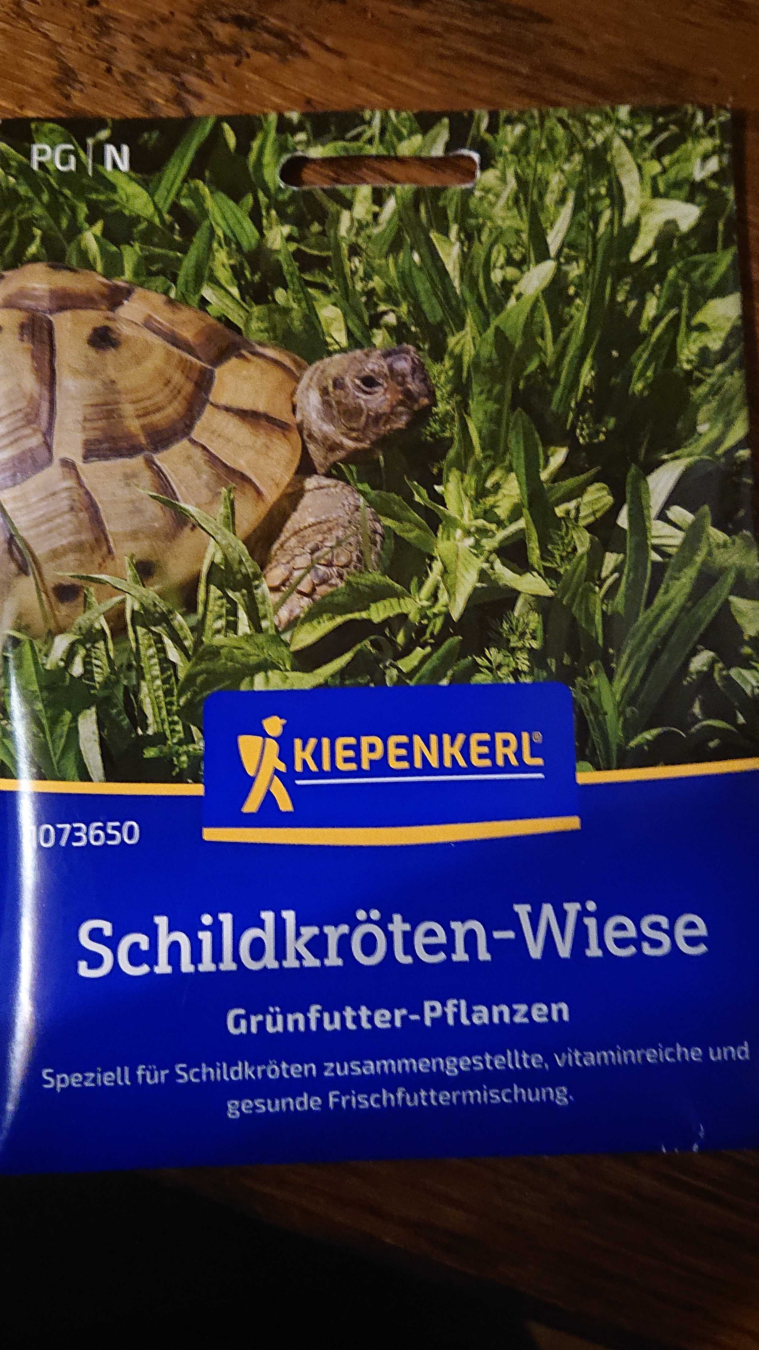 Schildkröten Wiese Samenmischung