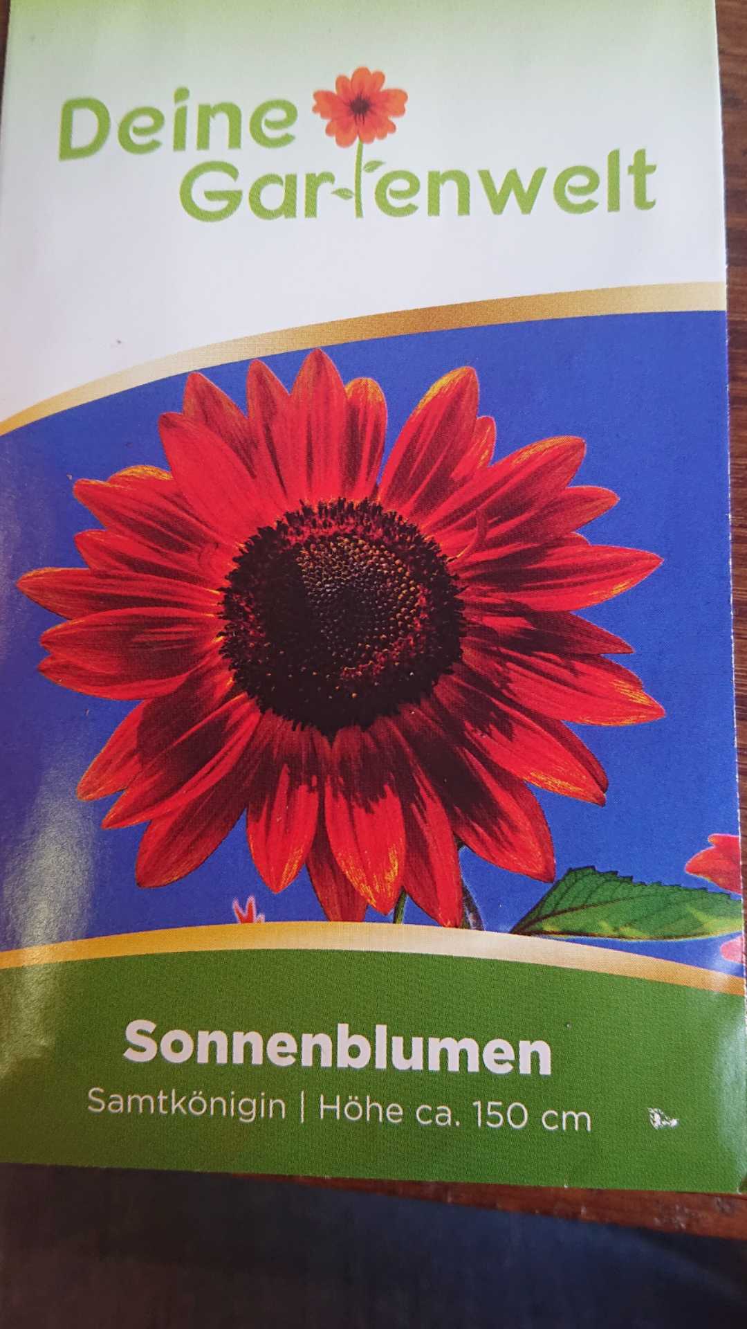 Sonnenblumen Samen Samtkönigin
