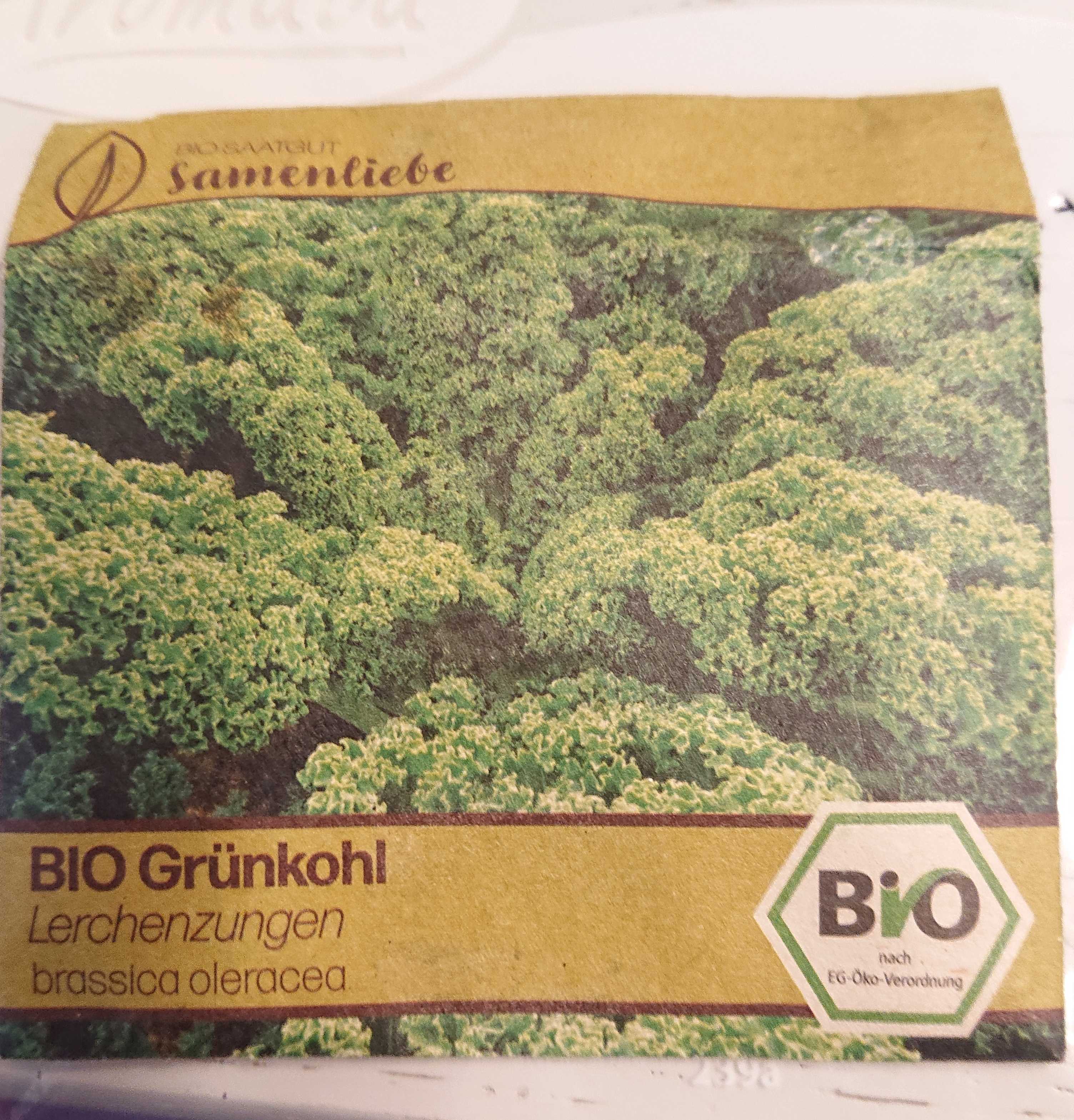 Grünkohl Lerchenzungen Samen