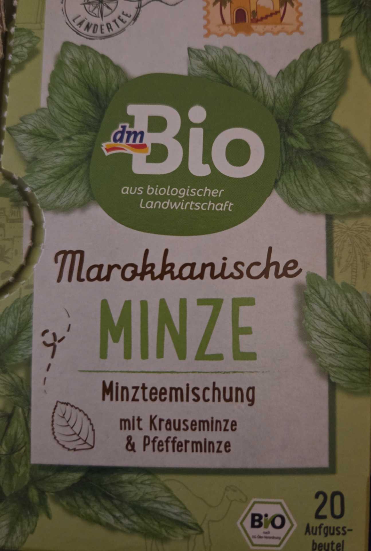 Marokkanische Minze