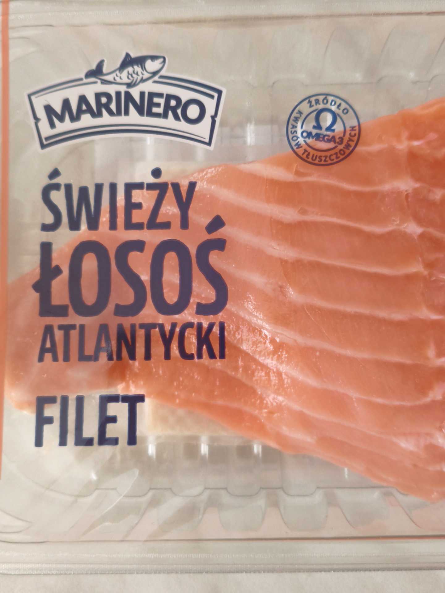 Łosoś atlantycki