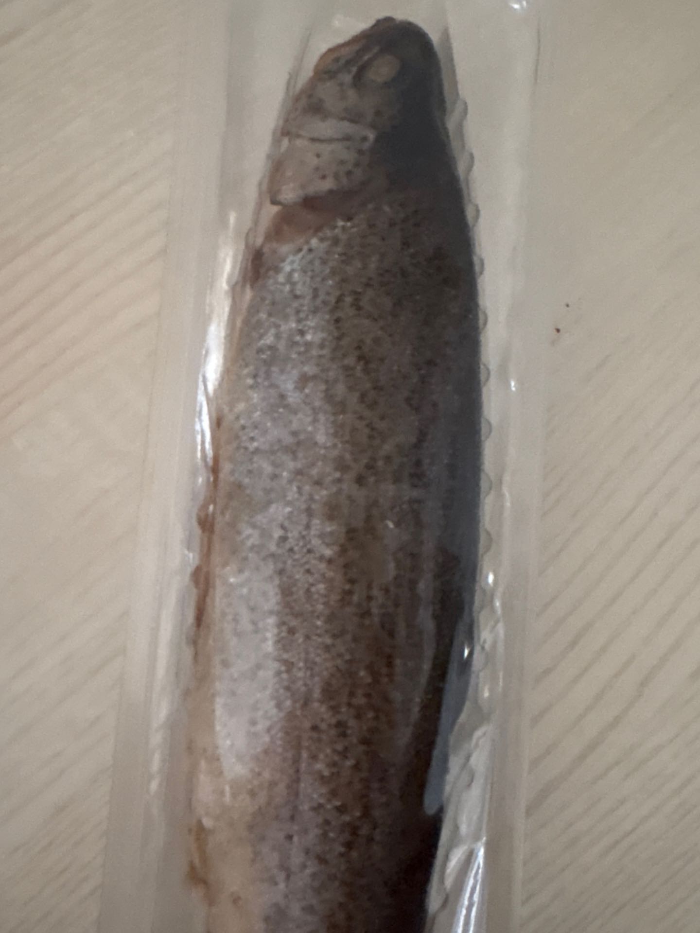 Forel gerookte