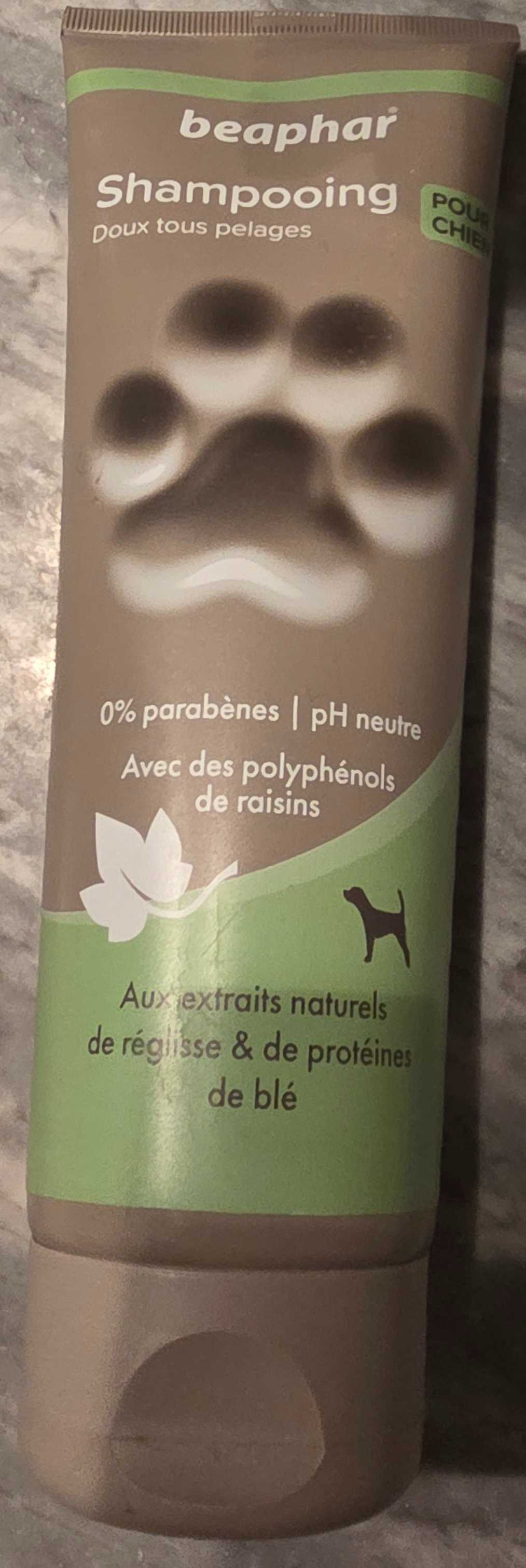 Shampooing chien