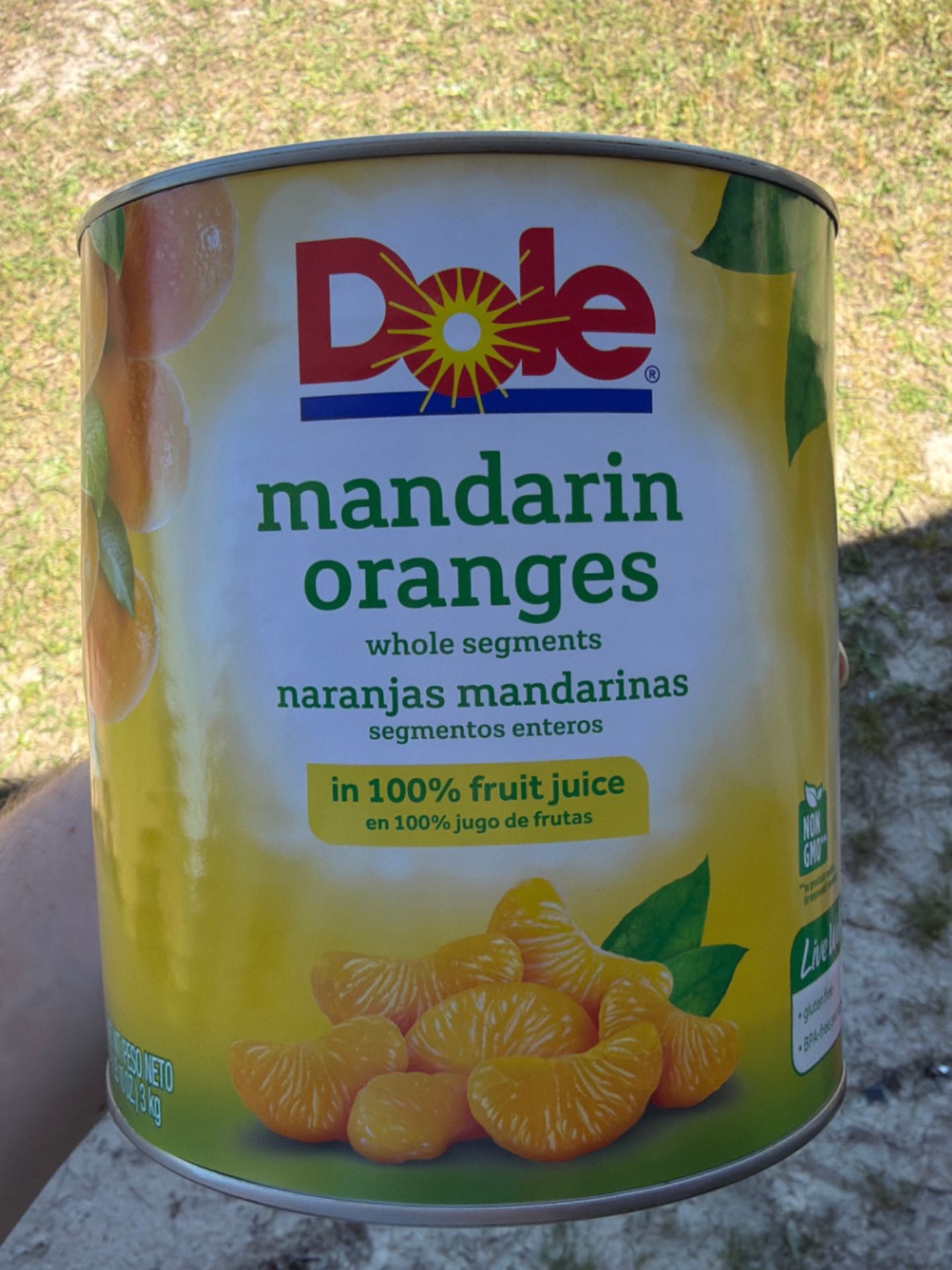 Mandarin Oranges