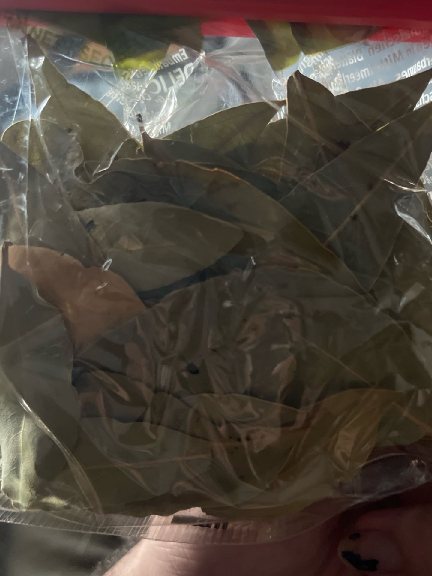 Feuilles de laurier
