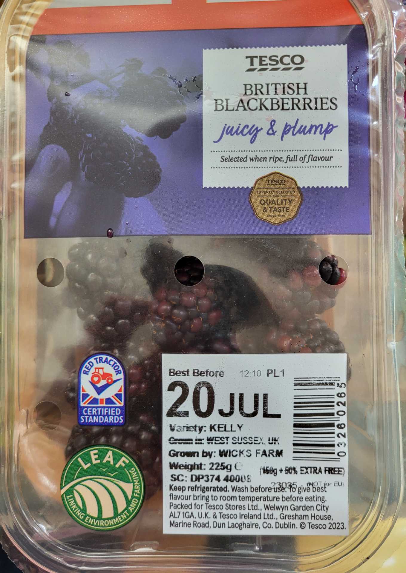 Blackberries