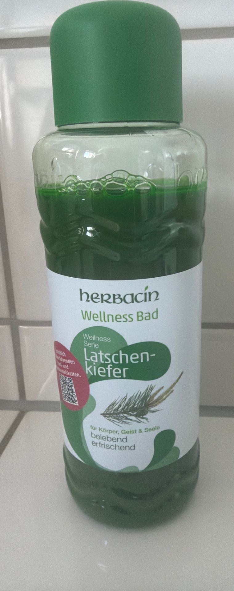 Schaumbaf Latschenkiefer