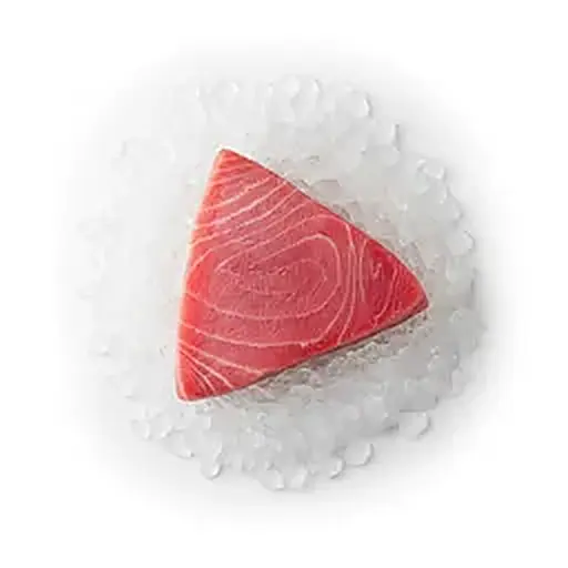 Thunfisch
