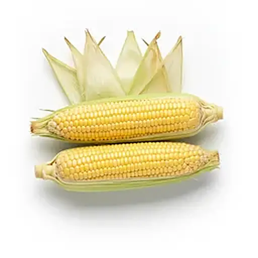 Mais