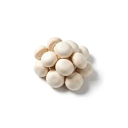 Funghi