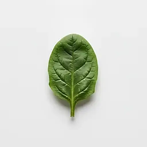 Spinaci